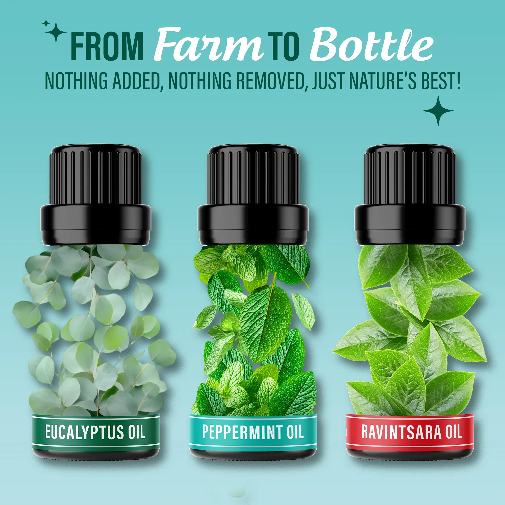 Breathe Essential Oil, 10 ML – 3 Pack - Image 4