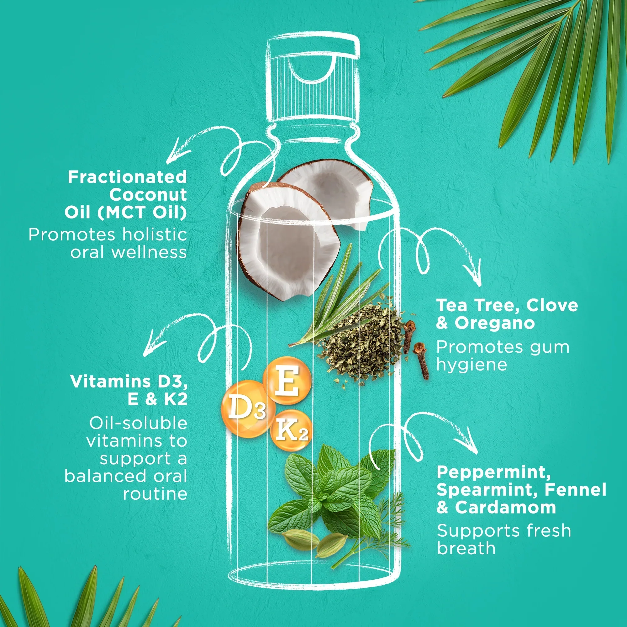 Cocomint Oil Pulling with 7 Essential Oils & Vitamins D3, E & K2 - Image 14